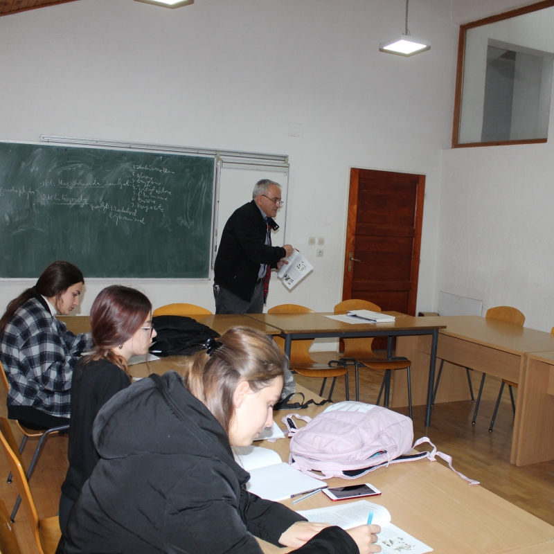 IMG_9236.JPG
